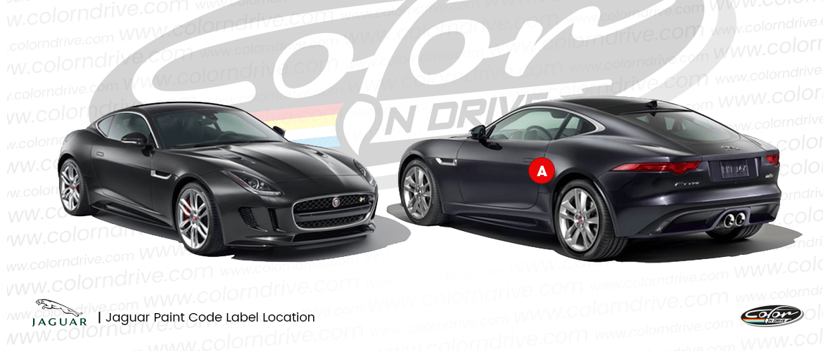 مخطط موقع ملصق كود لون JAGUAR